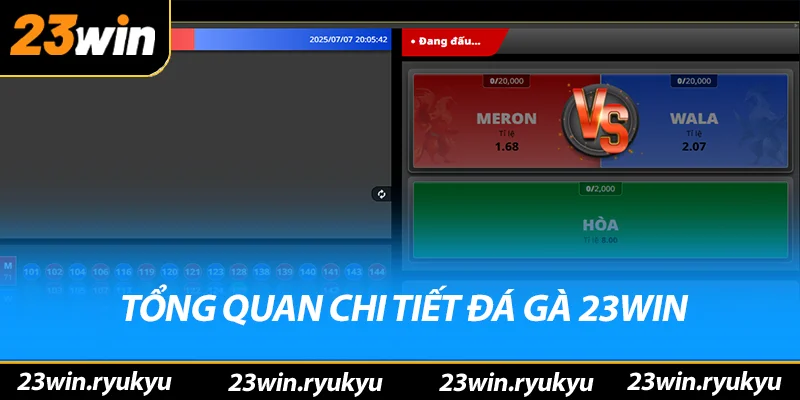 Đá Gà 23win Tổng quan chi tiết đá gà 23win